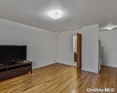 living room featuring light hardwood / wood-style flooring