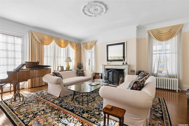 living room featuring hardwood / wood-style floors, a healthy amount of sunlight, and radiator heating unit