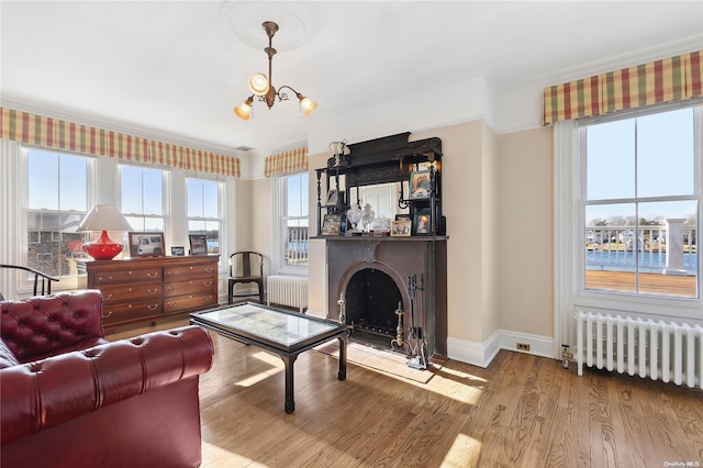 living room with hardwood / wood-style flooring, an inviting chandelier, radiator, and crown molding