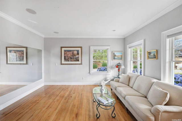 living room with light hardwood / wood-style floors, crown molding, and a healthy amount of sunlight