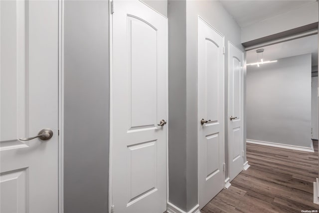 hall featuring dark wood-type flooring