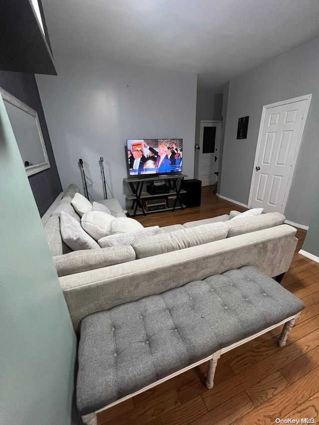 living room featuring hardwood / wood-style flooring