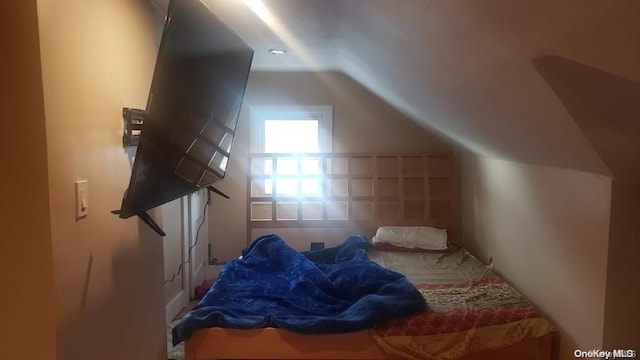 additional living space with lofted ceiling