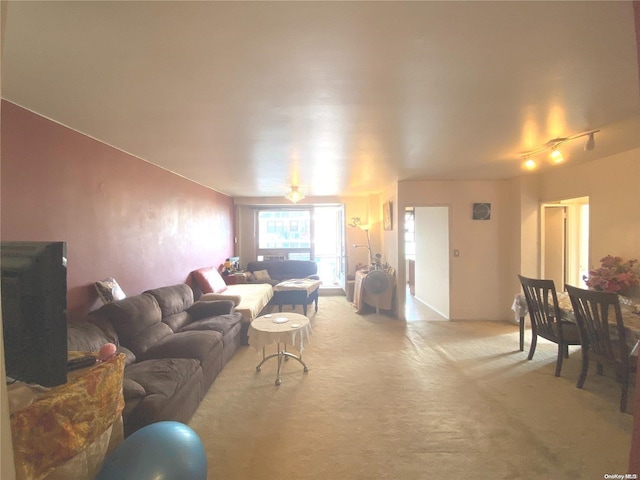 carpeted living room with rail lighting