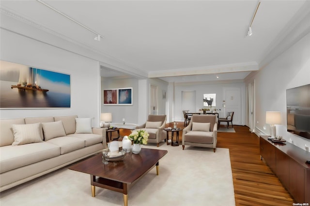 living room featuring rail lighting and wood-type flooring