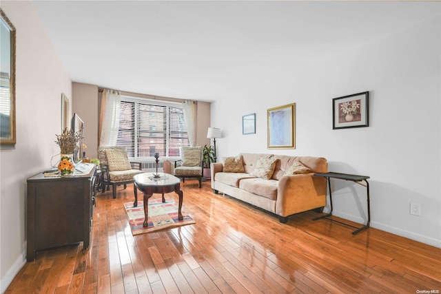 living room featuring hardwood / wood-style floors