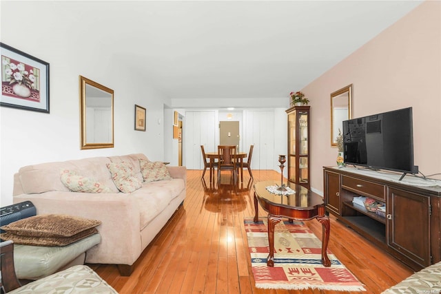 living room featuring light hardwood / wood-style flooring