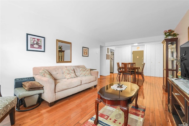 living room featuring light wood-type flooring