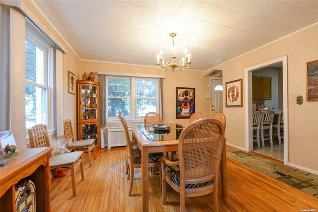 dining room with light hardwood / wood-style floors, an inviting chandelier, radiator, and ornamental molding