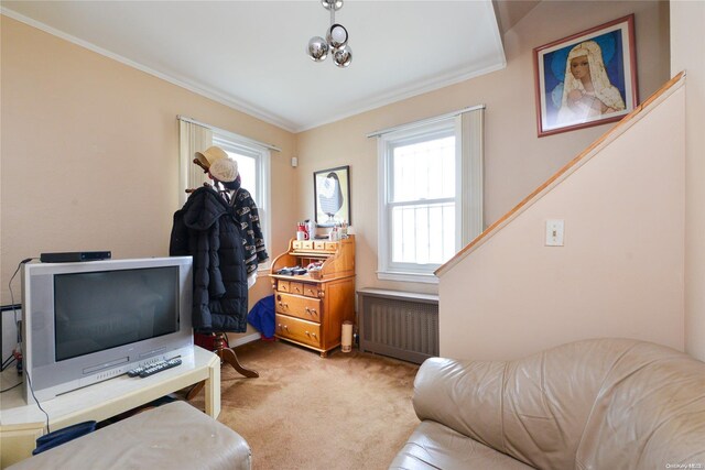 home office with radiator heating unit, light colored carpet, ornamental molding, and a healthy amount of sunlight