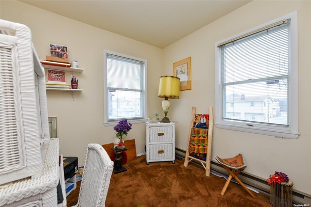 view of carpeted office