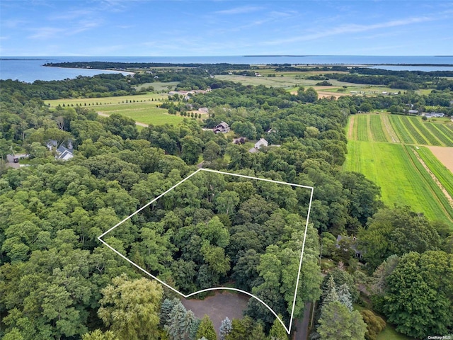 birds eye view of property featuring a rural view and a water view