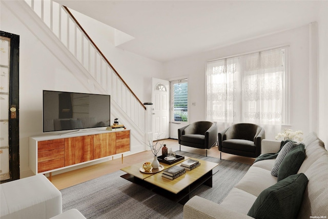 living room featuring wood-type flooring