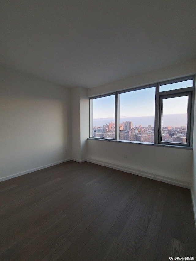 spare room with plenty of natural light and wood-type flooring