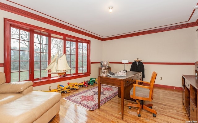 office featuring light wood-type flooring, a wealth of natural light, and crown molding