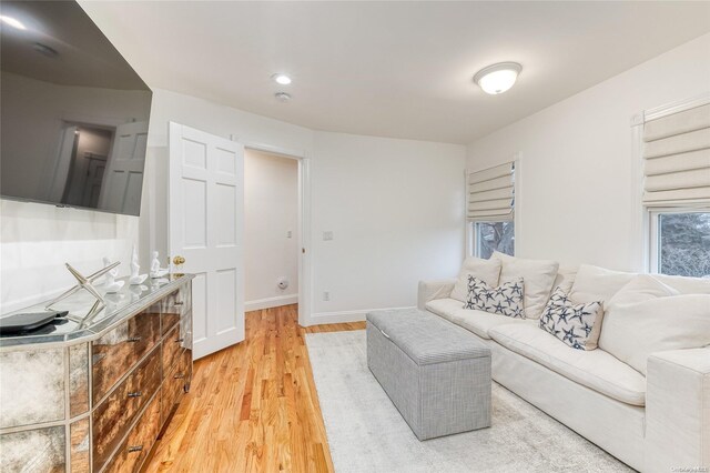 living room with hardwood / wood-style flooring