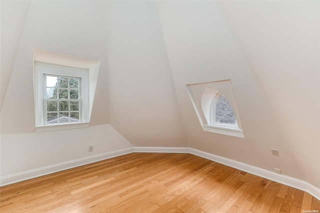 additional living space featuring light wood-type flooring