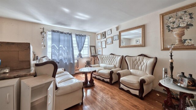 living area featuring hardwood / wood-style floors