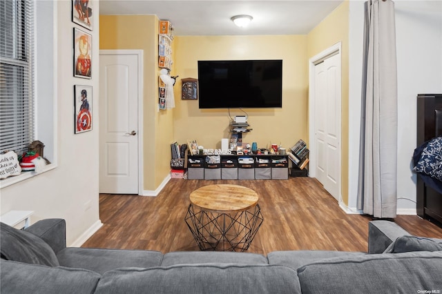 living room with hardwood / wood-style flooring