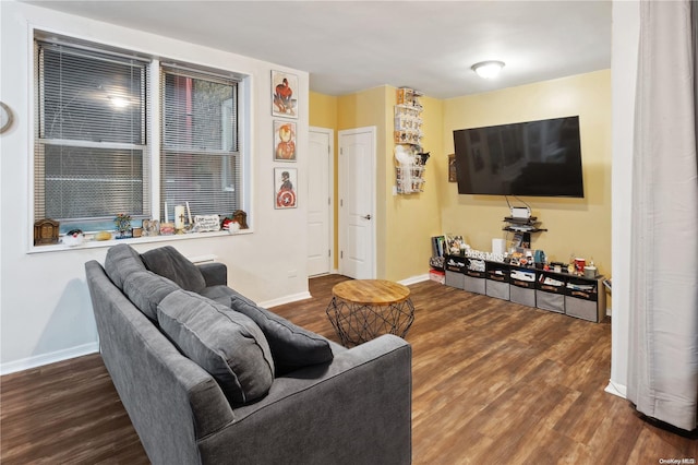 living room with dark hardwood / wood-style flooring