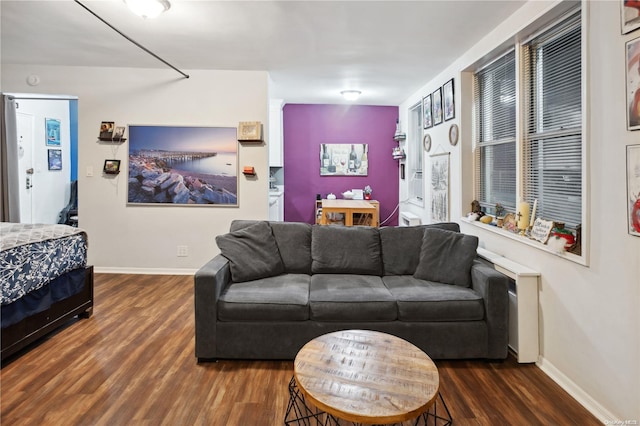 living room with dark hardwood / wood-style flooring