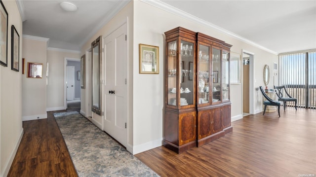 hallway with dark hardwood / wood-style flooring and ornamental molding