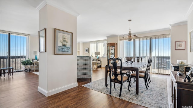 dining area featuring dark hardwood / wood-style floors, a healthy amount of sunlight, and crown molding