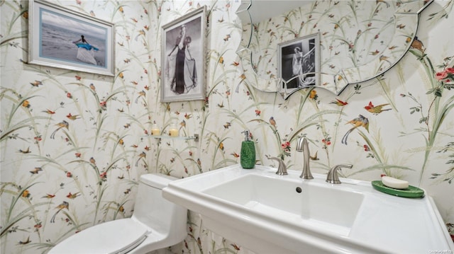 bathroom with toilet and sink