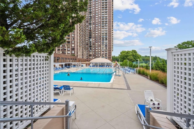 view of swimming pool with a patio