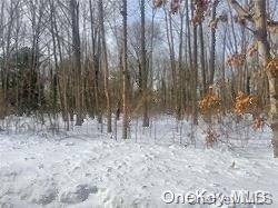 LOT2 Hobson Ave, Saint James NY, 11780 land for sale