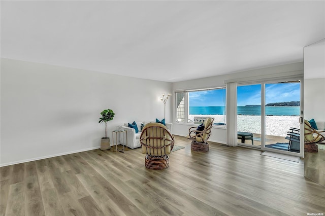 sitting room featuring a water view and light wood-type flooring