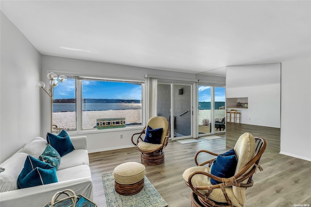 living room featuring hardwood / wood-style floors and a water view