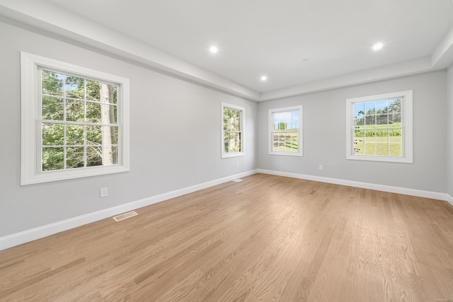 empty room featuring light wood-type flooring