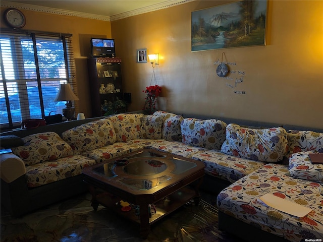 living room featuring ornamental molding