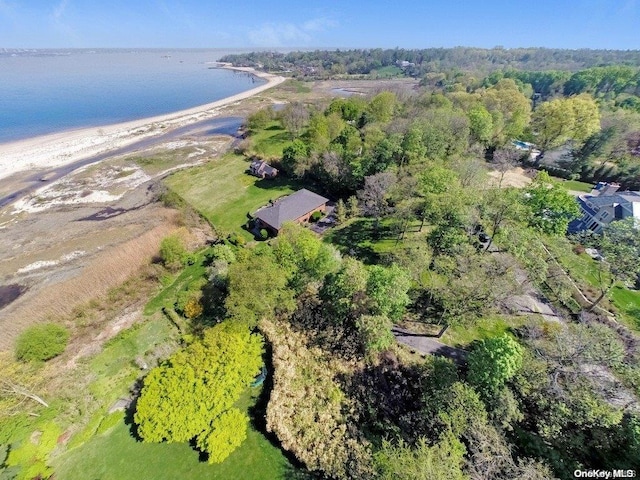 birds eye view of property with a view of the beach and a water view