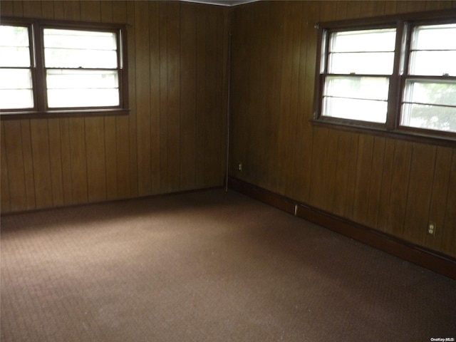 1449 Grand Ave, North Baldwin, NY 11510 - carpeted spare room with a wealth of natural light and wooden walls