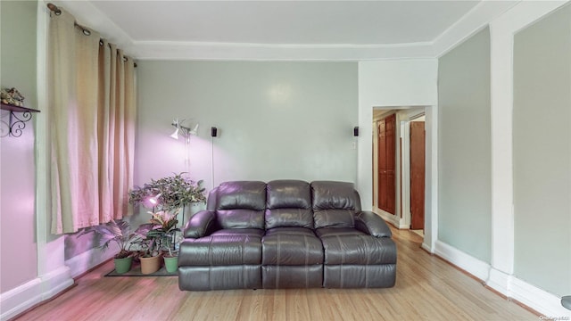 living room with light wood-type flooring