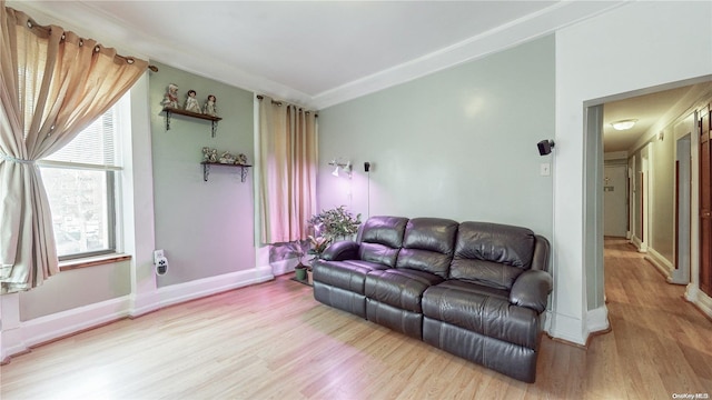 living room featuring light hardwood / wood-style floors