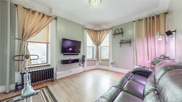 living room with radiator, light hardwood / wood-style flooring, and a healthy amount of sunlight