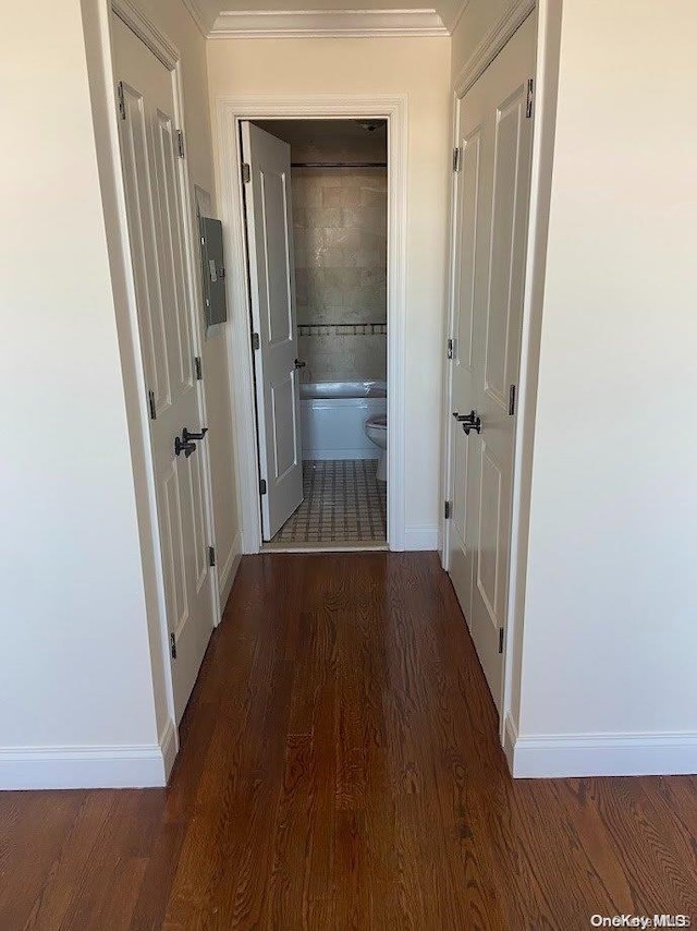 hallway featuring dark hardwood / wood-style floors and crown molding