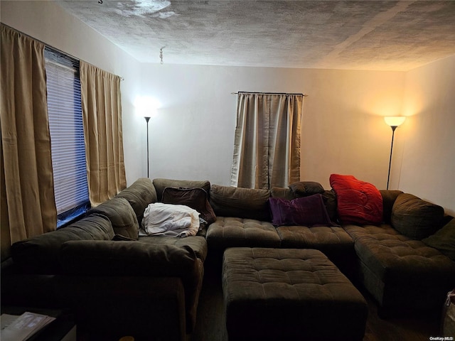 living room with a textured ceiling