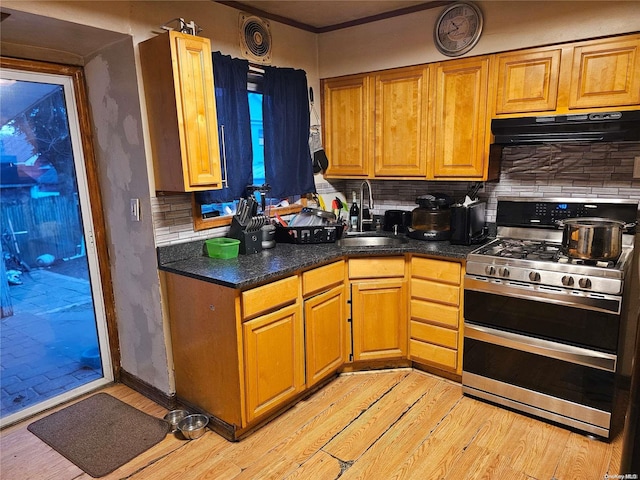 kitchen with ventilation hood, double oven range, light wood-style flooring, a sink, and backsplash