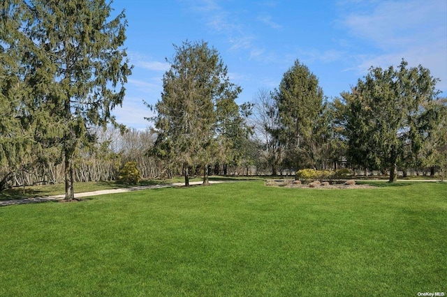 view of home's community featuring a lawn