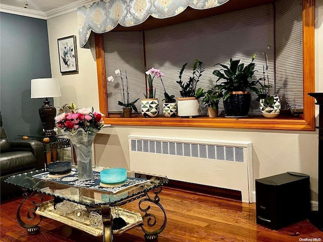 room details featuring hardwood / wood-style flooring, radiator heating unit, and ornamental molding