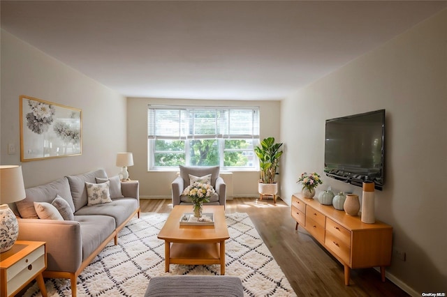 living room with hardwood / wood-style floors