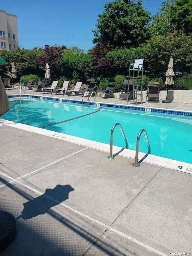 view of pool featuring a patio