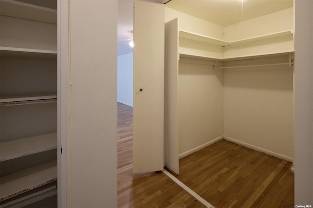 spacious closet with dark hardwood / wood-style floors