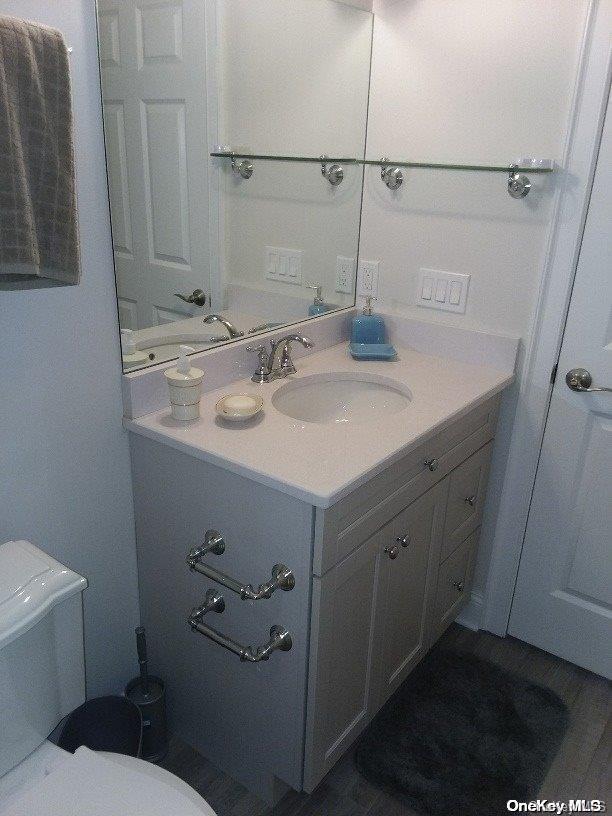 bathroom with vanity and toilet