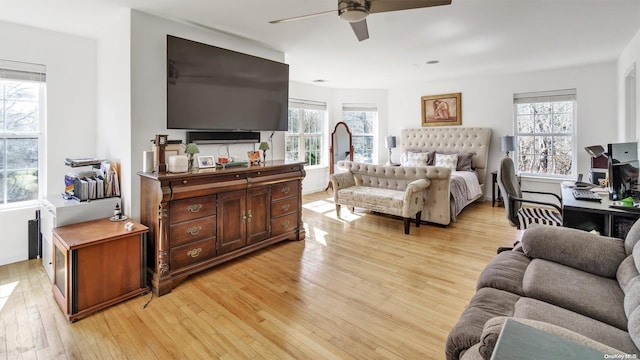 bedroom featuring light hardwood / wood-style floors and multiple windows