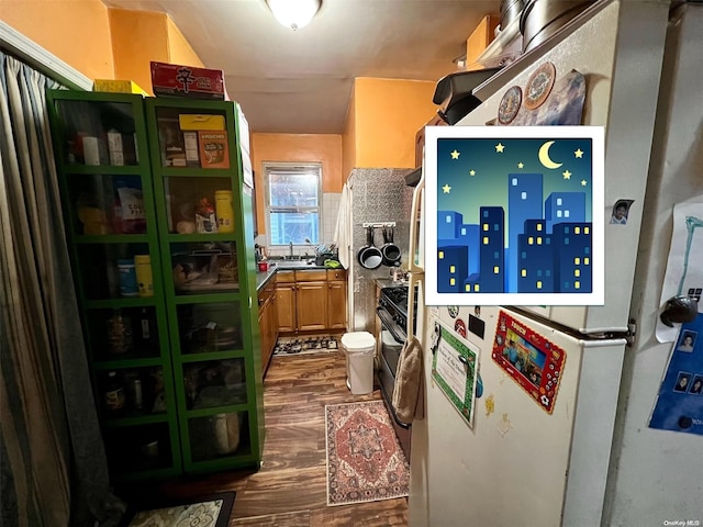 kitchen featuring dark hardwood / wood-style floors and sink